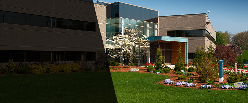 North Hollywood Landscapers