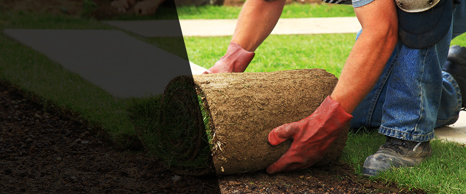 North Hollywood Landscapers